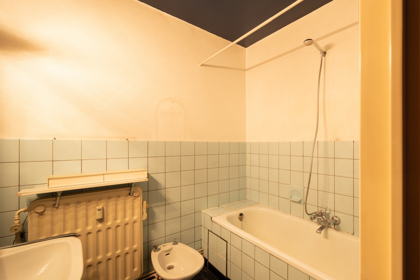 Immo Van de Woestijne