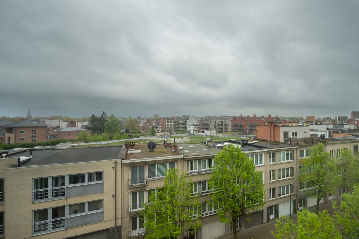 Immo Van de Woestijne