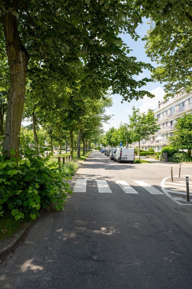 Immo Van de Woestijne