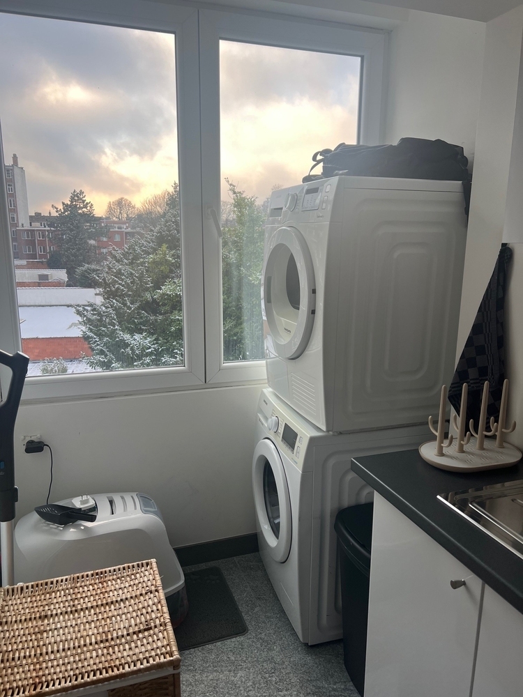 Immo Van de Woestijne